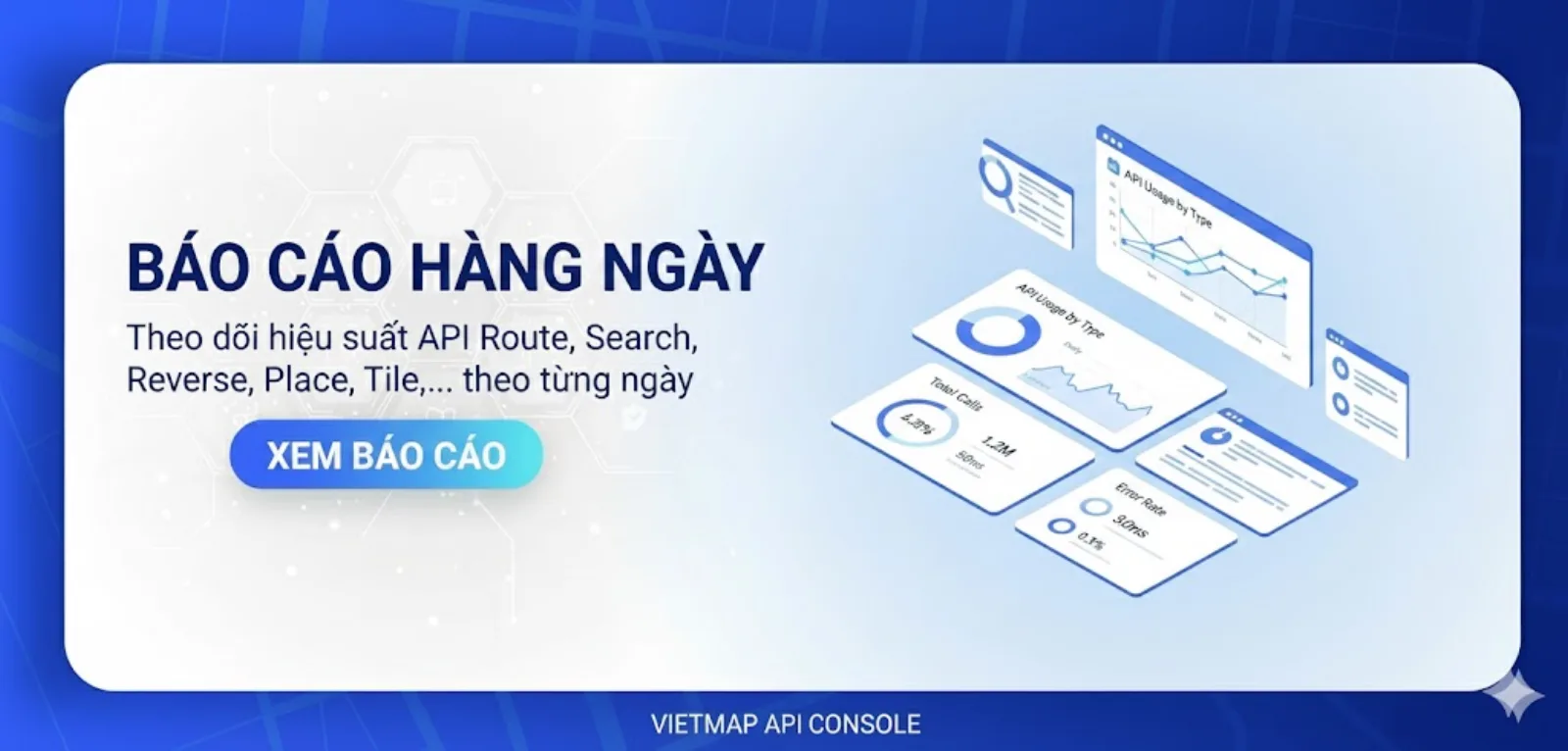 Monitor API Key Usage