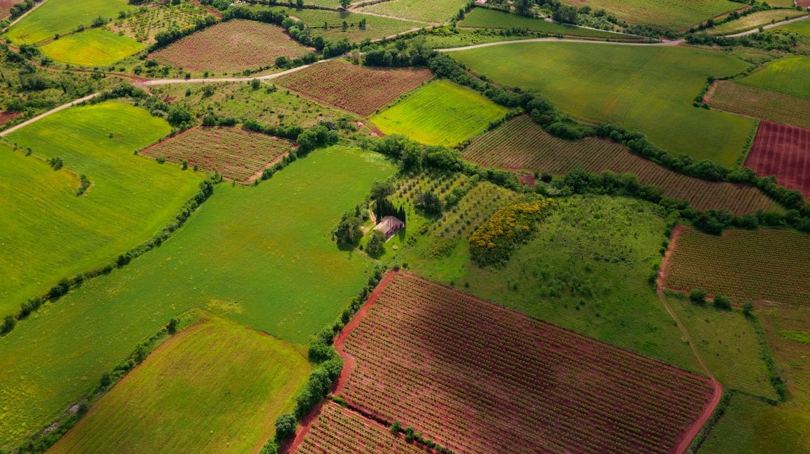 Quản lý đất đai